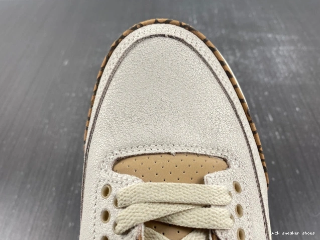 Reps LUCY Palomino 3 Air CT8532-102 Jordan 0816